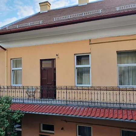 Bright Central With Access To The Garden Lejlighed Cluj-Napoca